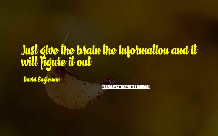 David Eagleman Quotes: Just give the brain the information and it will figure it out.