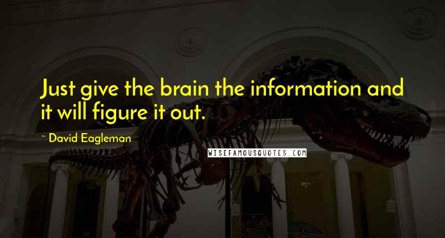 David Eagleman Quotes: Just give the brain the information and it will figure it out.