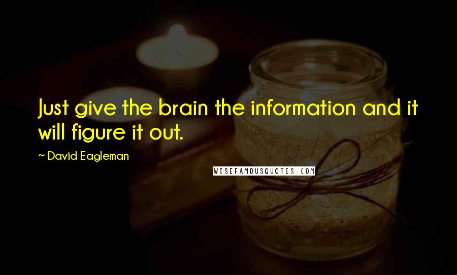 David Eagleman Quotes: Just give the brain the information and it will figure it out.