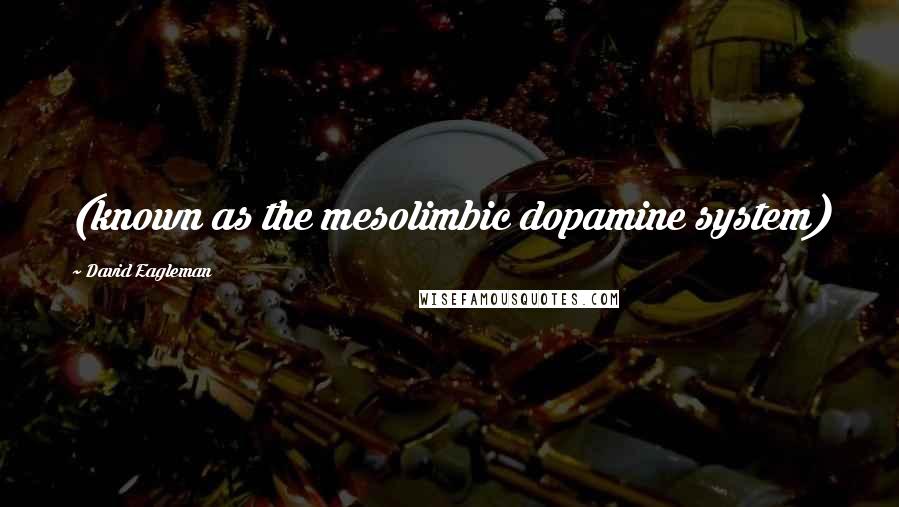 David Eagleman Quotes: (known as the mesolimbic dopamine system)