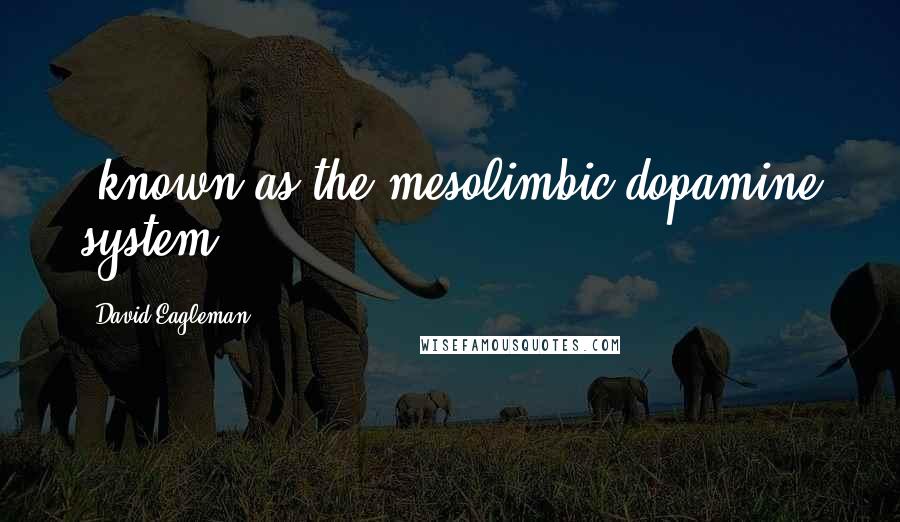 David Eagleman Quotes: (known as the mesolimbic dopamine system)