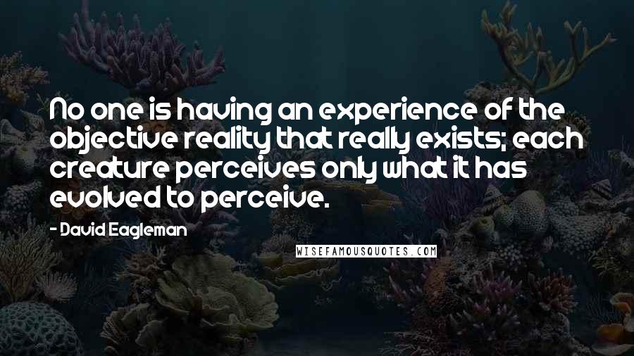 David Eagleman Quotes: No one is having an experience of the objective reality that really exists; each creature perceives only what it has evolved to perceive.