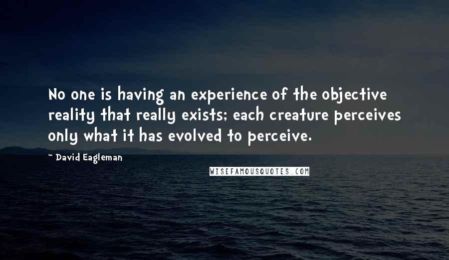 David Eagleman Quotes: No one is having an experience of the objective reality that really exists; each creature perceives only what it has evolved to perceive.