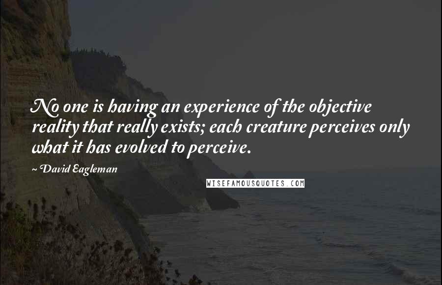 David Eagleman Quotes: No one is having an experience of the objective reality that really exists; each creature perceives only what it has evolved to perceive.