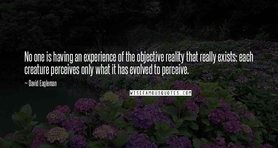 David Eagleman Quotes: No one is having an experience of the objective reality that really exists; each creature perceives only what it has evolved to perceive.