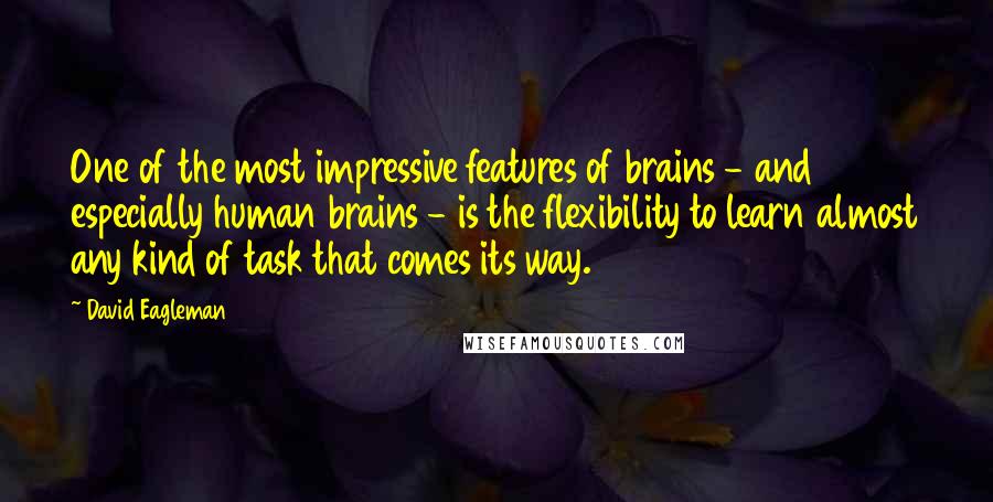 David Eagleman Quotes: One of the most impressive features of brains - and especially human brains - is the flexibility to learn almost any kind of task that comes its way.