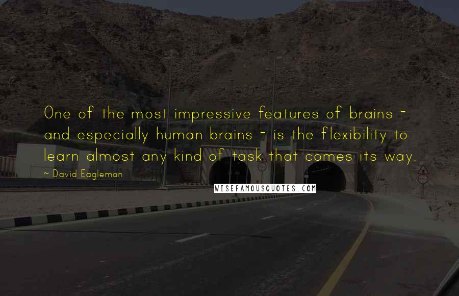 David Eagleman Quotes: One of the most impressive features of brains - and especially human brains - is the flexibility to learn almost any kind of task that comes its way.