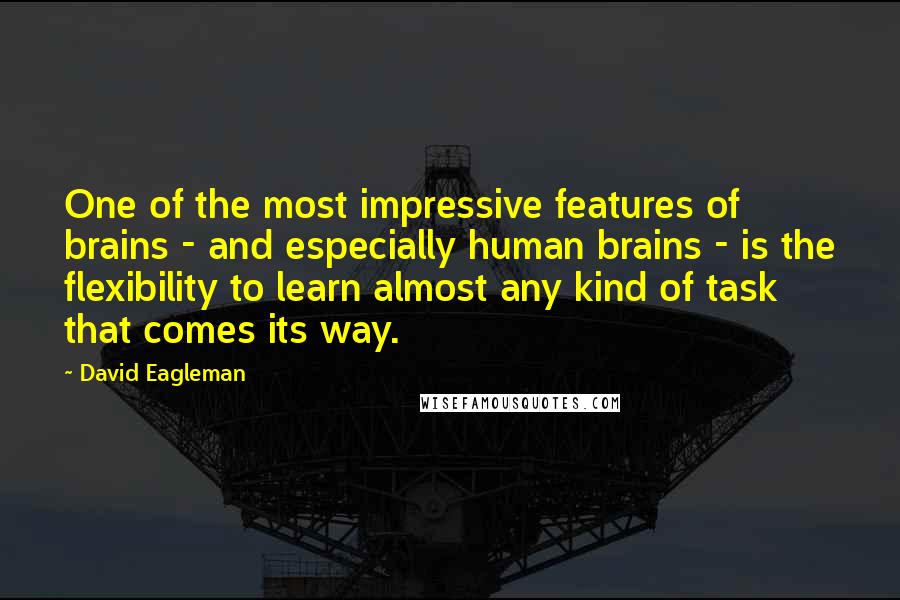 David Eagleman Quotes: One of the most impressive features of brains - and especially human brains - is the flexibility to learn almost any kind of task that comes its way.