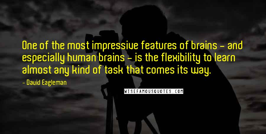 David Eagleman Quotes: One of the most impressive features of brains - and especially human brains - is the flexibility to learn almost any kind of task that comes its way.