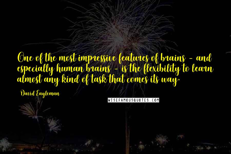 David Eagleman Quotes: One of the most impressive features of brains - and especially human brains - is the flexibility to learn almost any kind of task that comes its way.