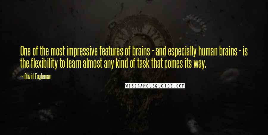 David Eagleman Quotes: One of the most impressive features of brains - and especially human brains - is the flexibility to learn almost any kind of task that comes its way.