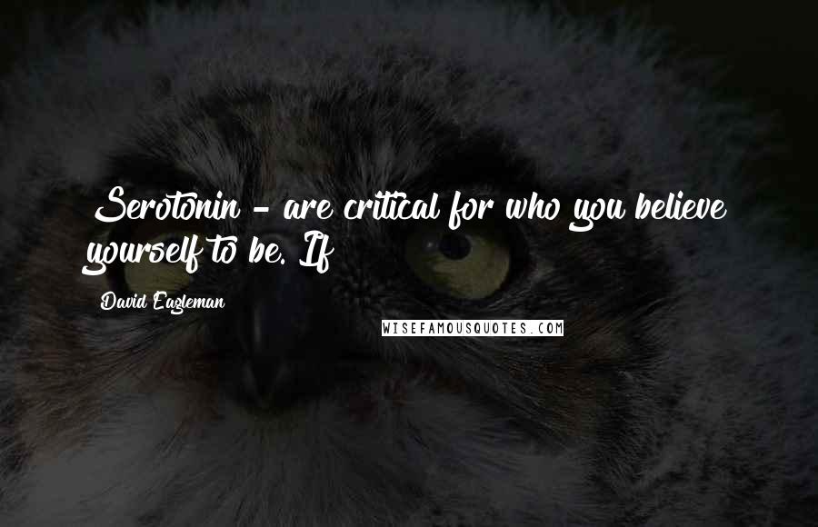 David Eagleman Quotes: Serotonin - are critical for who you believe yourself to be. If