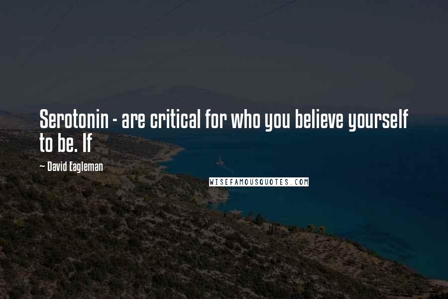David Eagleman Quotes: Serotonin - are critical for who you believe yourself to be. If