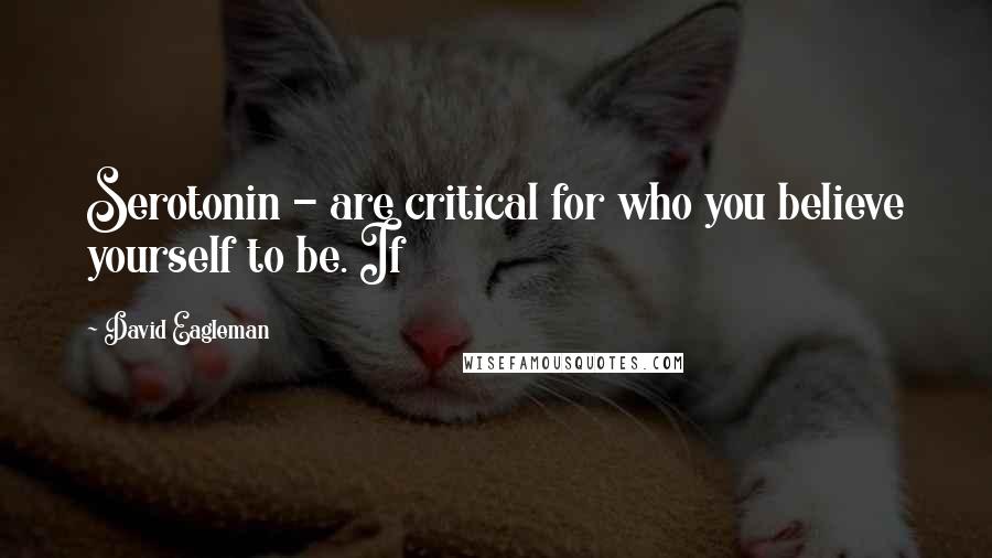 David Eagleman Quotes: Serotonin - are critical for who you believe yourself to be. If