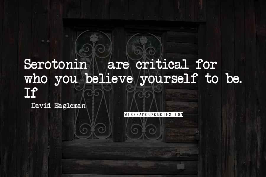 David Eagleman Quotes: Serotonin - are critical for who you believe yourself to be. If