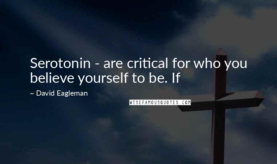 David Eagleman Quotes: Serotonin - are critical for who you believe yourself to be. If