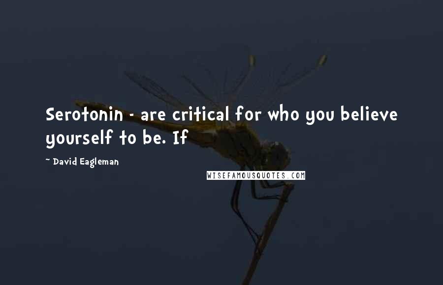 David Eagleman Quotes: Serotonin - are critical for who you believe yourself to be. If