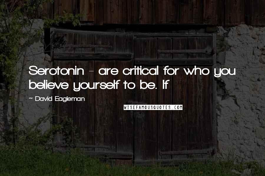 David Eagleman Quotes: Serotonin - are critical for who you believe yourself to be. If