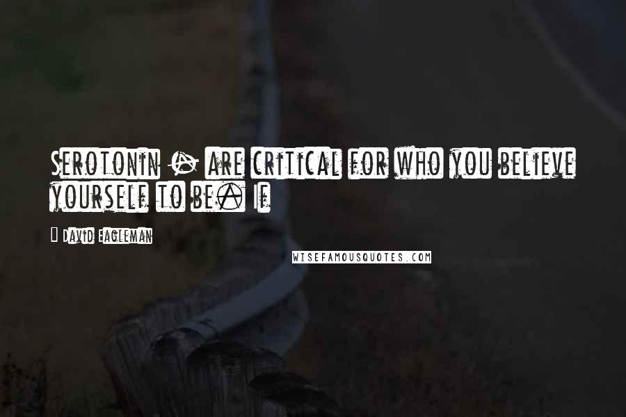 David Eagleman Quotes: Serotonin - are critical for who you believe yourself to be. If