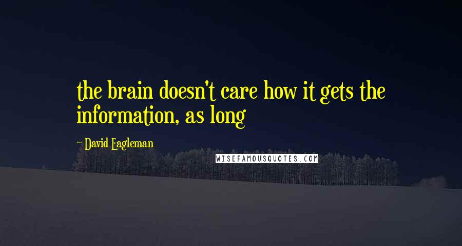 David Eagleman Quotes: the brain doesn't care how it gets the information, as long