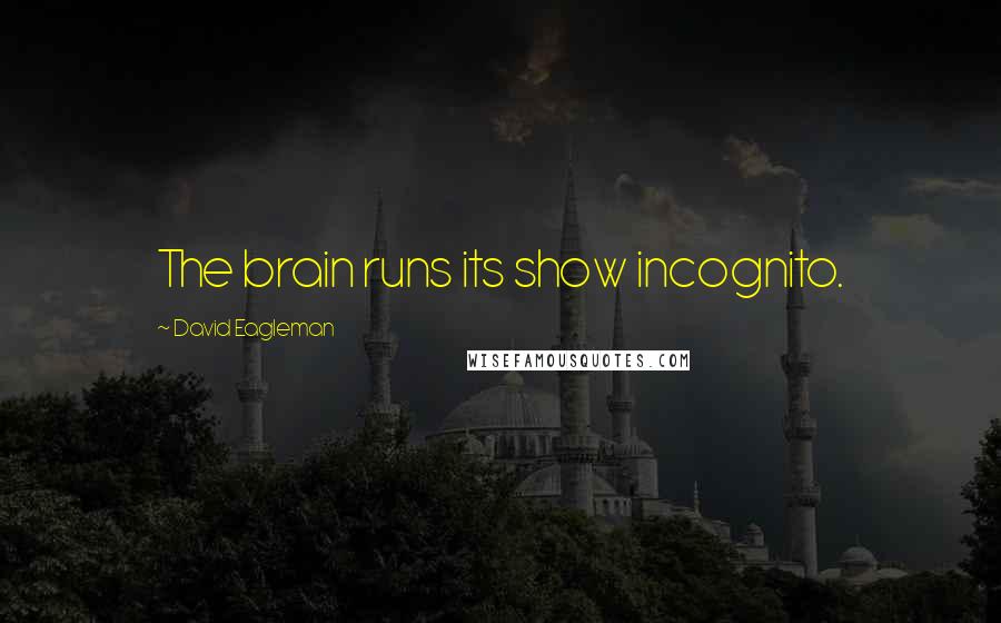 David Eagleman Quotes: The brain runs its show incognito.