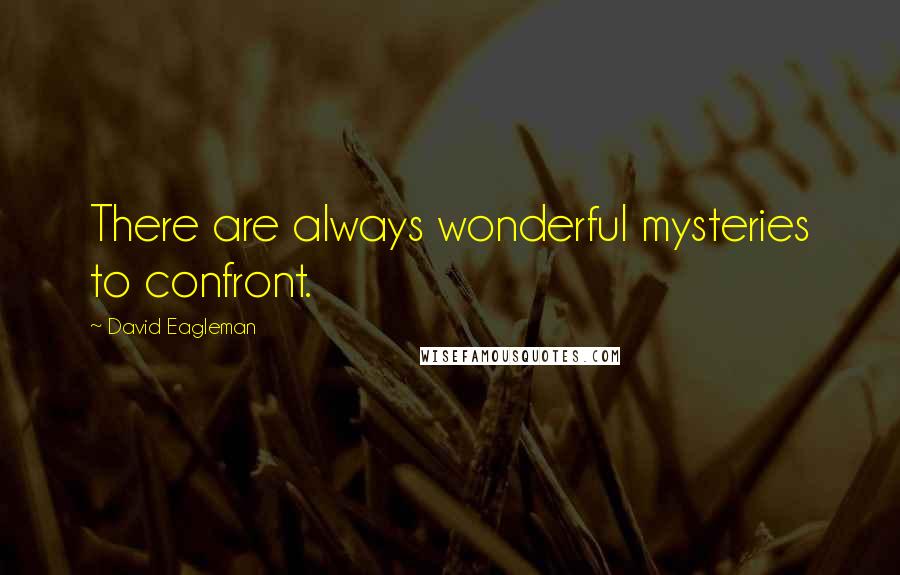 David Eagleman Quotes: There are always wonderful mysteries to confront.