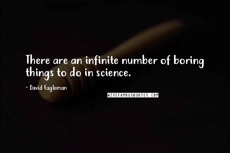 David Eagleman Quotes: There are an infinite number of boring things to do in science.