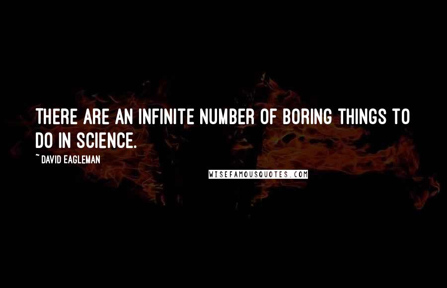 David Eagleman Quotes: There are an infinite number of boring things to do in science.