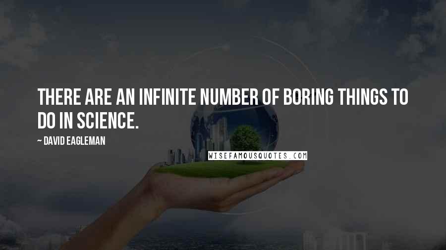David Eagleman Quotes: There are an infinite number of boring things to do in science.