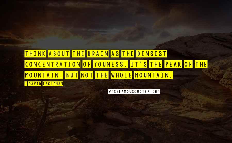 David Eagleman Quotes: Think about the brain as the densest concentration of youness. It's the peak of the mountain, but not the whole mountain.