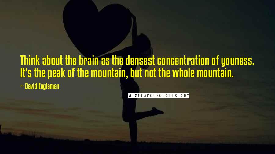 David Eagleman Quotes: Think about the brain as the densest concentration of youness. It's the peak of the mountain, but not the whole mountain.