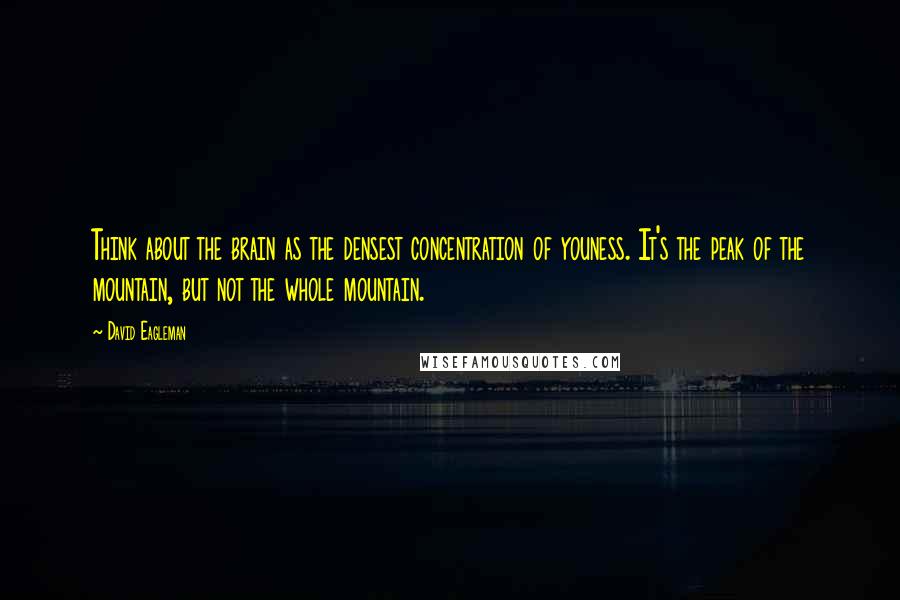 David Eagleman Quotes: Think about the brain as the densest concentration of youness. It's the peak of the mountain, but not the whole mountain.