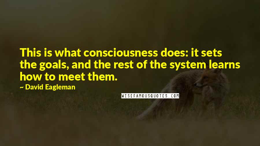 David Eagleman Quotes: This is what consciousness does: it sets the goals, and the rest of the system learns how to meet them.