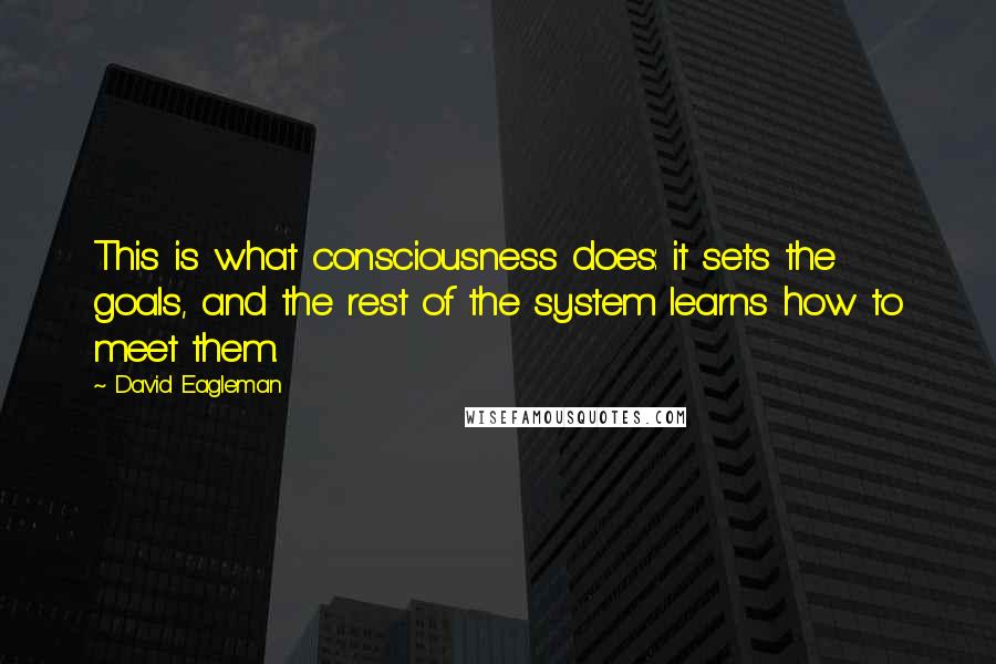 David Eagleman Quotes: This is what consciousness does: it sets the goals, and the rest of the system learns how to meet them.