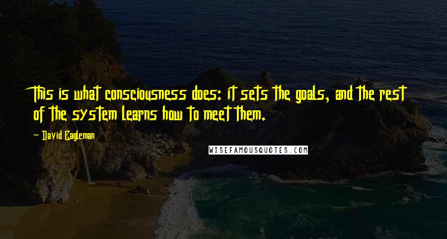 David Eagleman Quotes: This is what consciousness does: it sets the goals, and the rest of the system learns how to meet them.