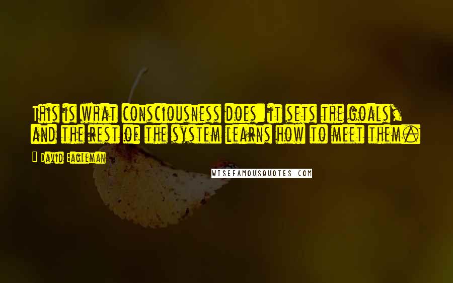 David Eagleman Quotes: This is what consciousness does: it sets the goals, and the rest of the system learns how to meet them.