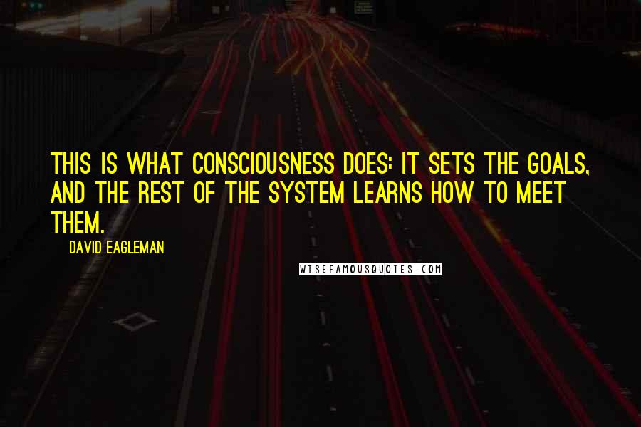 David Eagleman Quotes: This is what consciousness does: it sets the goals, and the rest of the system learns how to meet them.