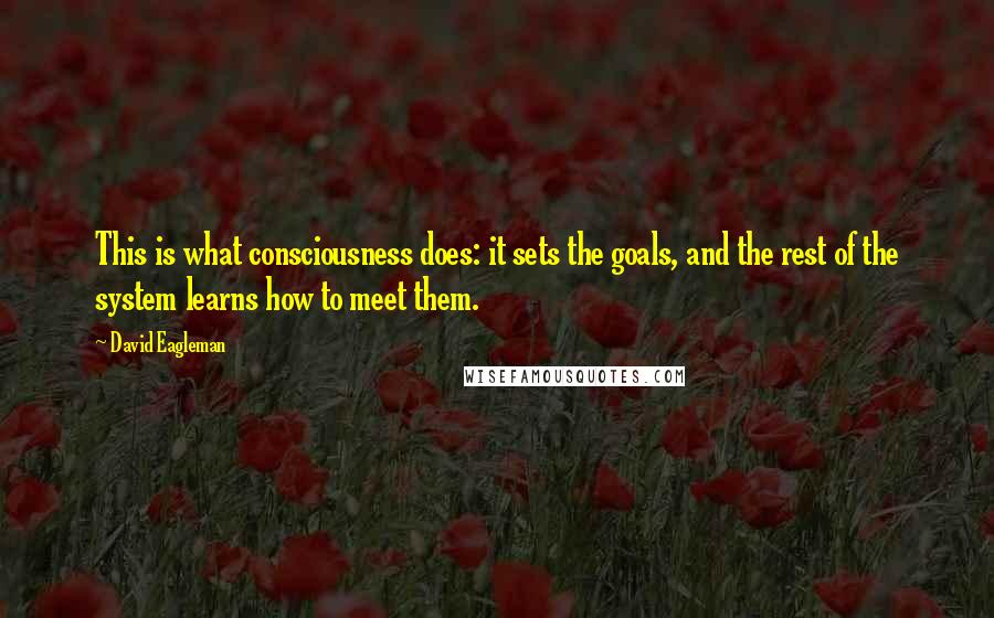 David Eagleman Quotes: This is what consciousness does: it sets the goals, and the rest of the system learns how to meet them.