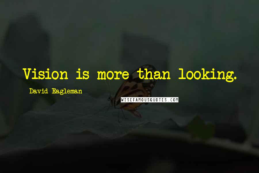 David Eagleman Quotes: Vision is more than looking.