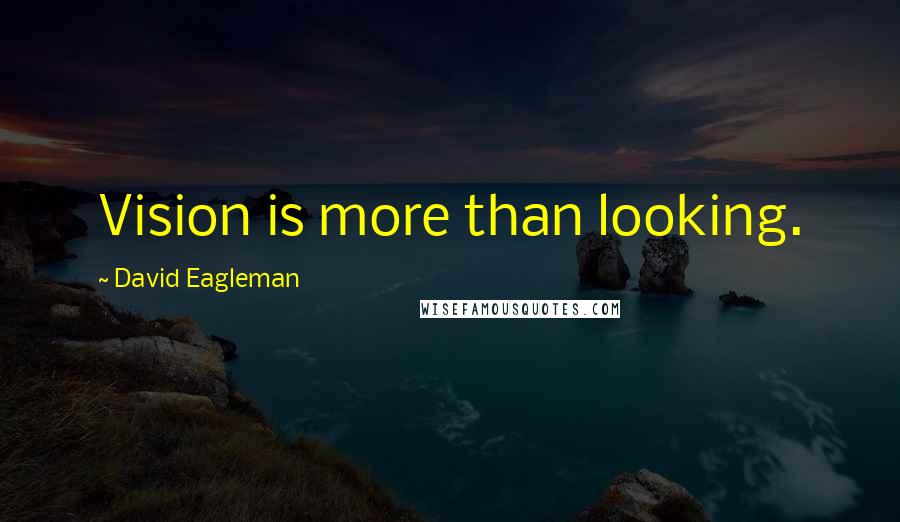 David Eagleman Quotes: Vision is more than looking.