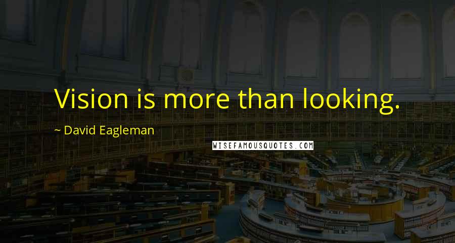 David Eagleman Quotes: Vision is more than looking.