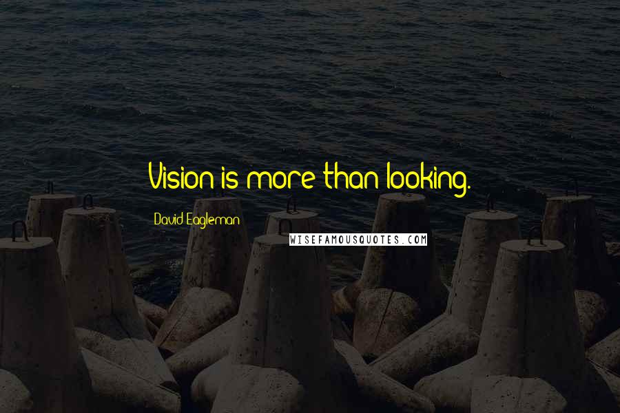 David Eagleman Quotes: Vision is more than looking.