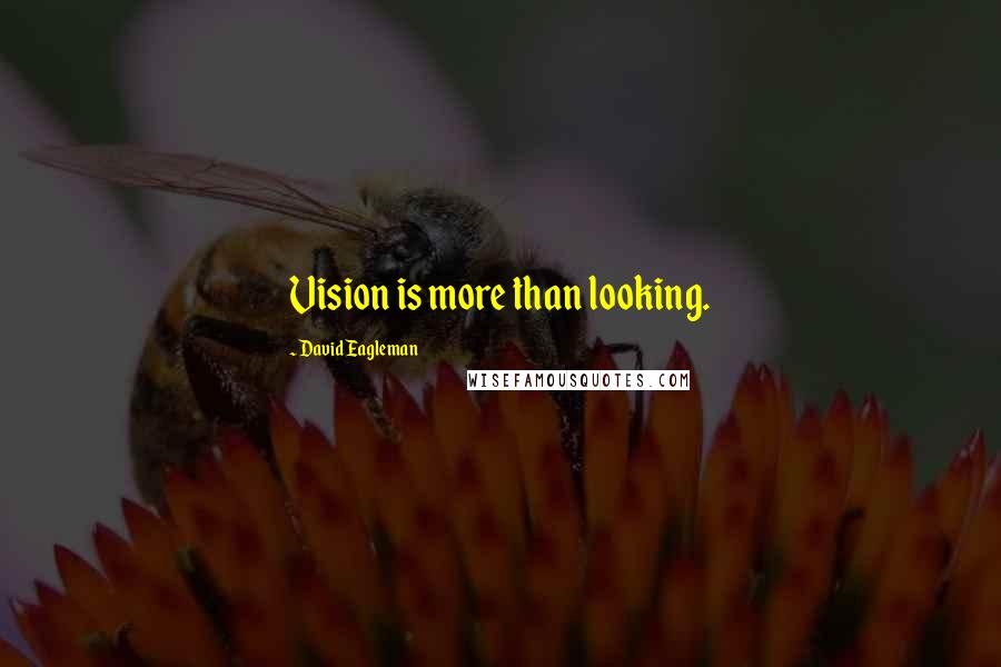 David Eagleman Quotes: Vision is more than looking.