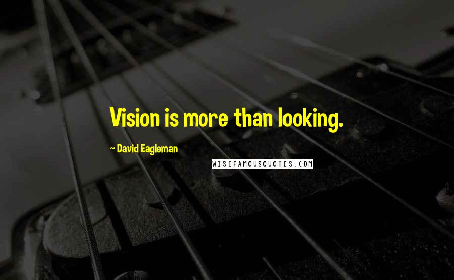 David Eagleman Quotes: Vision is more than looking.