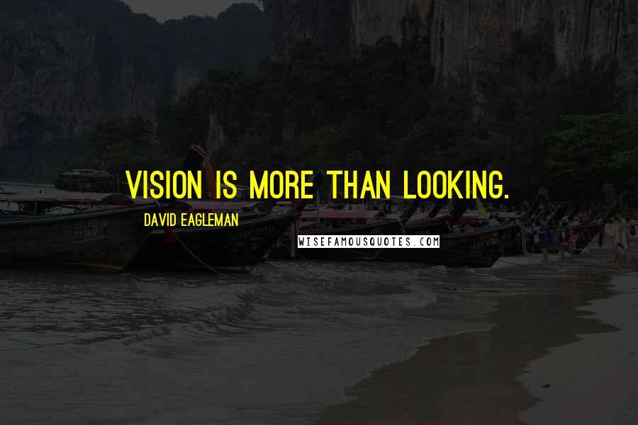 David Eagleman Quotes: Vision is more than looking.