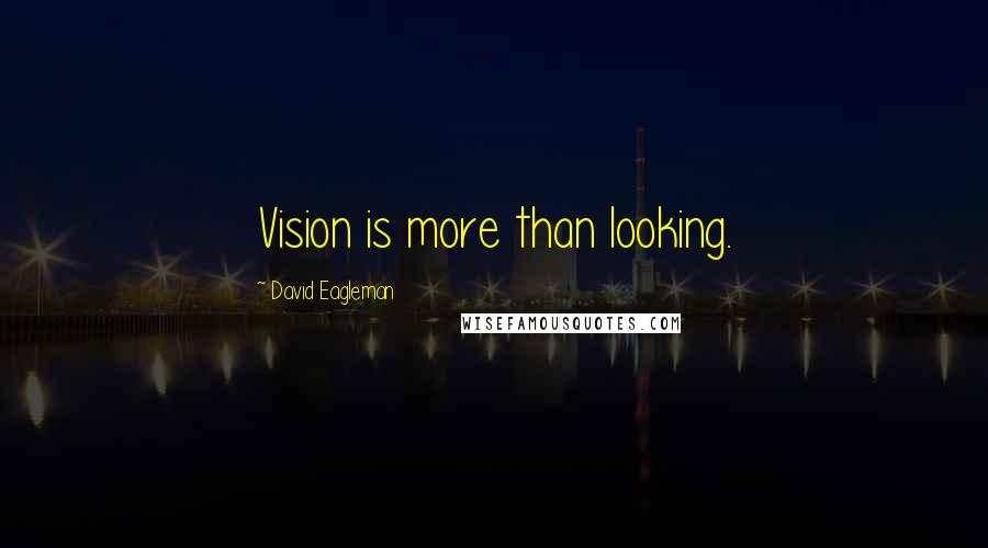 David Eagleman Quotes: Vision is more than looking.