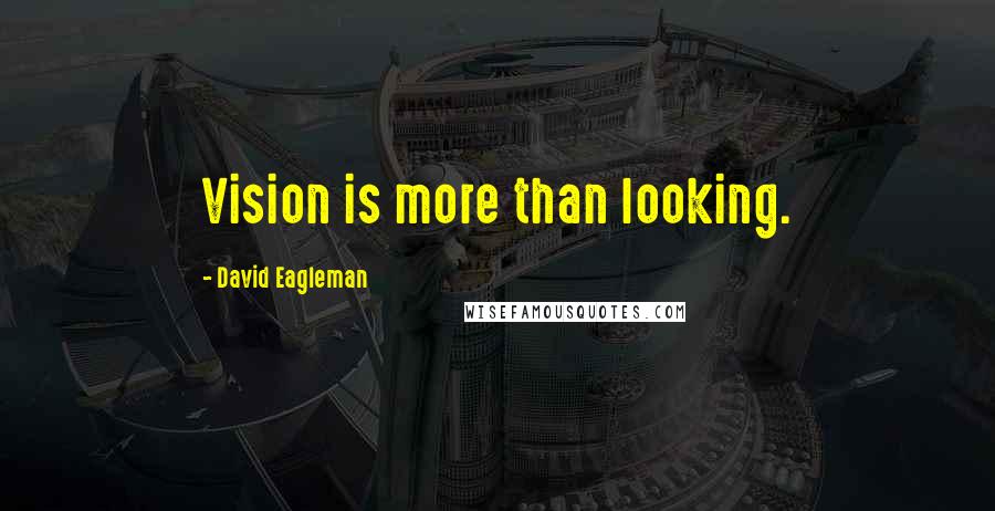 David Eagleman Quotes: Vision is more than looking.