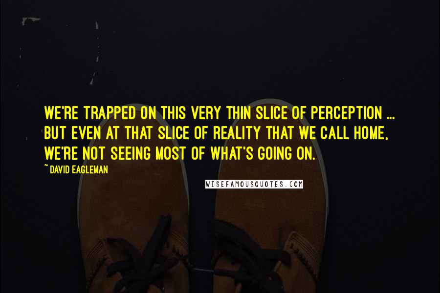 David Eagleman Quotes: We're trapped on this very thin slice of perception ... But even at that slice of reality that we call home, we're not seeing most of what's going on.