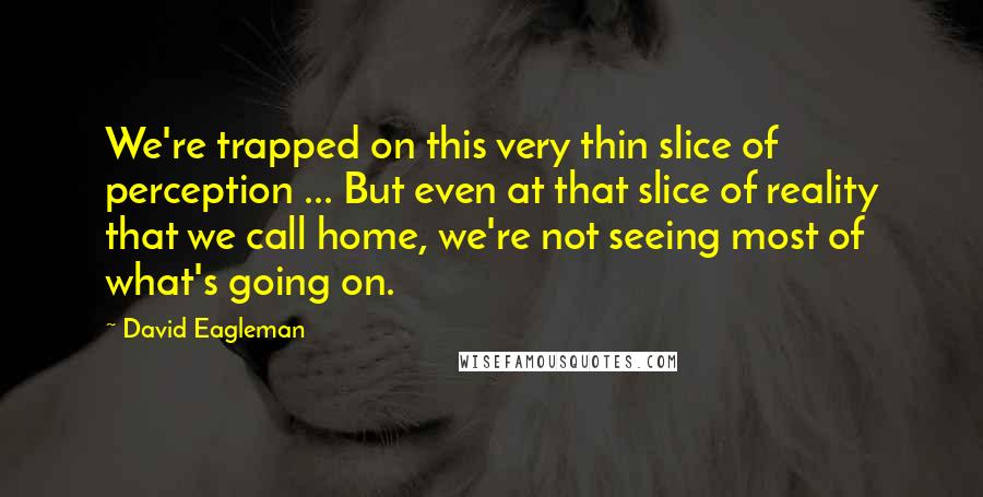David Eagleman Quotes: We're trapped on this very thin slice of perception ... But even at that slice of reality that we call home, we're not seeing most of what's going on.