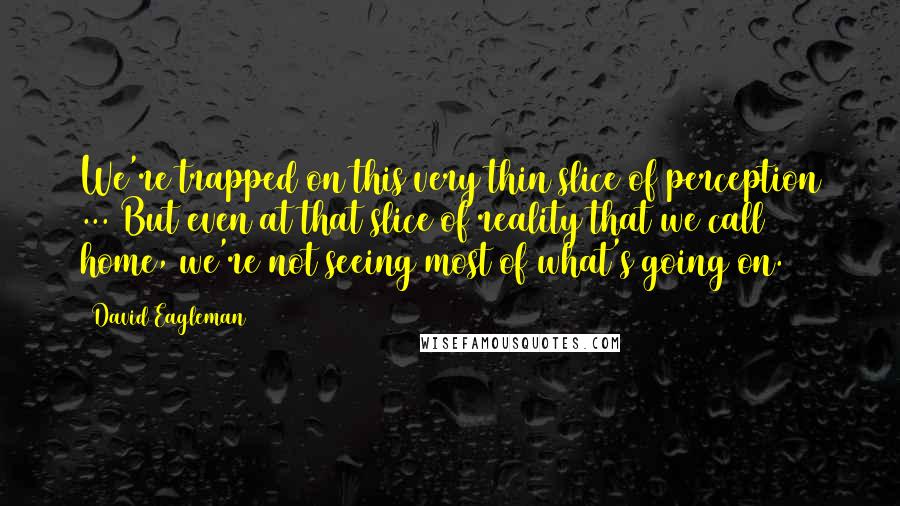 David Eagleman Quotes: We're trapped on this very thin slice of perception ... But even at that slice of reality that we call home, we're not seeing most of what's going on.